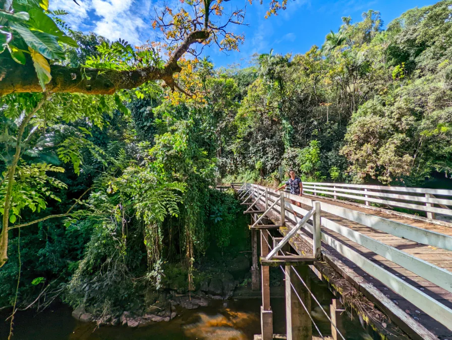 Chris Taylor on Kawainui Stream Bridge on Mamalahoa Highway Hilo Big Island Hawaii 1