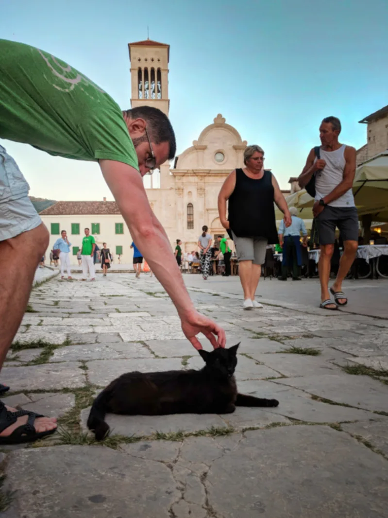 Chris Taylor petting cat in Hvar Croatia 1