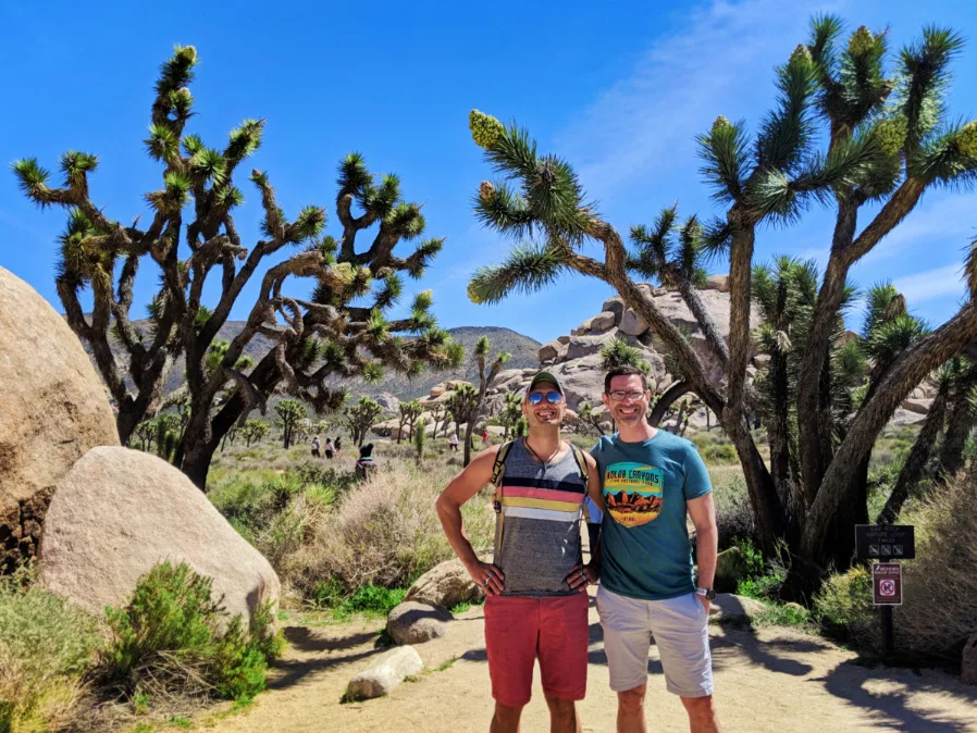 Chris and Rob Taylor Botanic Nature Walk at Cap Rock Joshua Tree National Park California 3