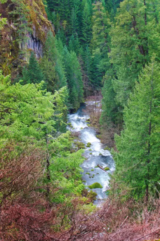 Churning gorge at Tokatee Falls Umpqua National Forest Oregon 2