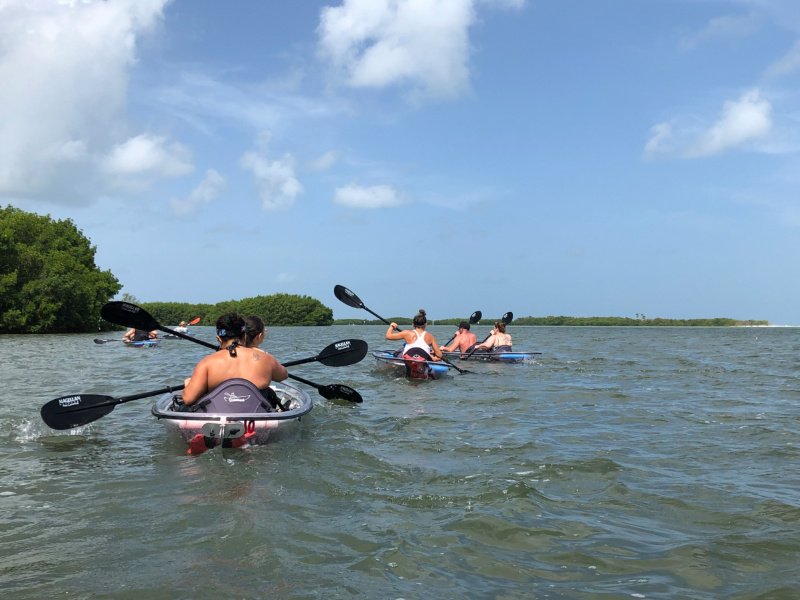 Clear Kayak Tour on Tampa Bay2_Marcea Cazel