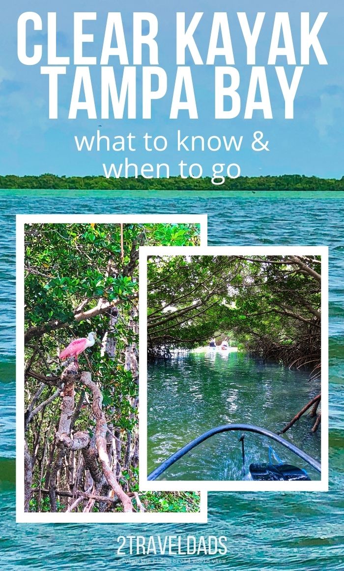 One of the most unique paddling experiences is clear kayaking, and in the Tampa Bay area the trip to the Shell Key Preserve is an incredible Florida adventure. See what to expect, what wildlife to watch for, and see that best tips for enjoying the clear kayak experience in Tampa Bay, Florida.