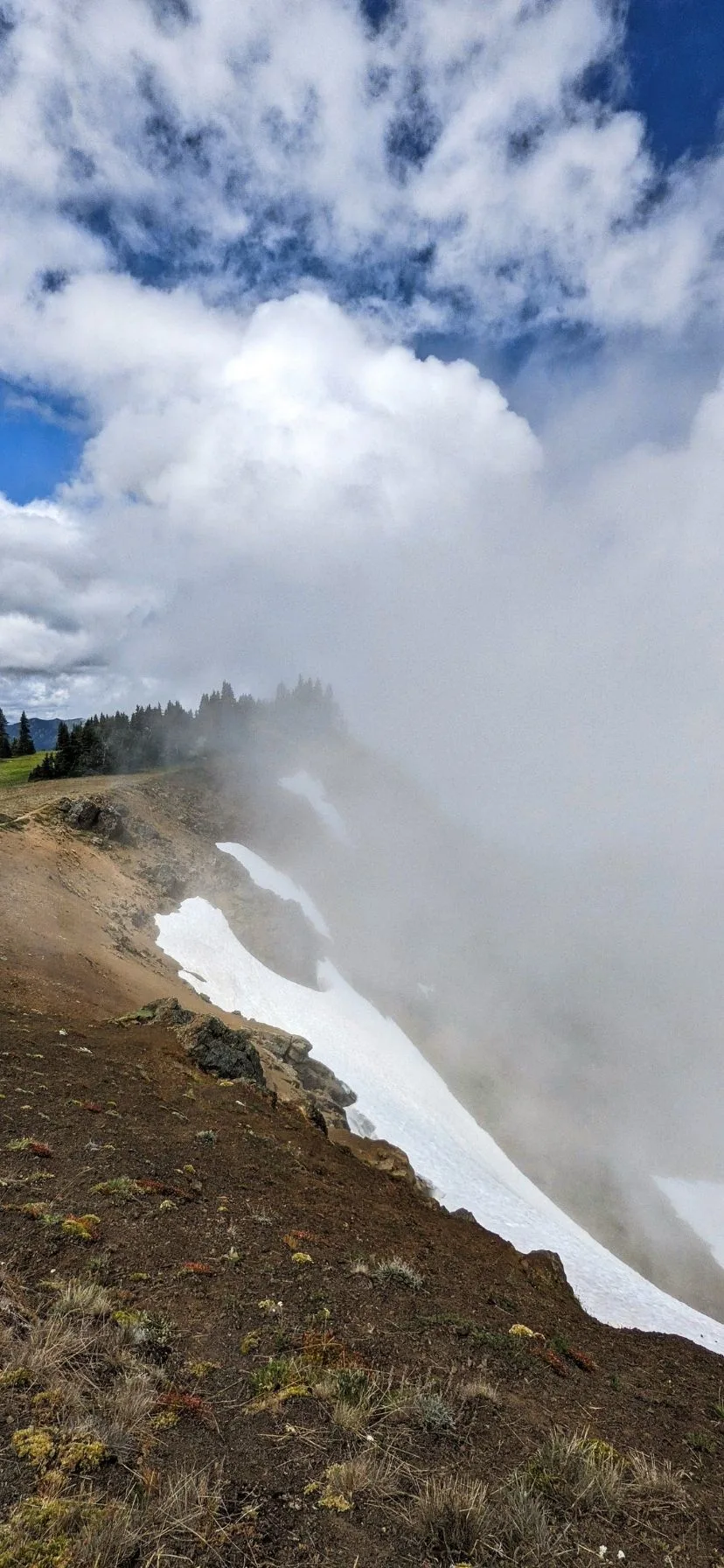 Clouds at Cliff at Hurricane Ridge Olympic National Park