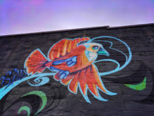 Colorful-bird-street-art-in-Lower-Queen-Anne-Seattle-1-225x169.jpg