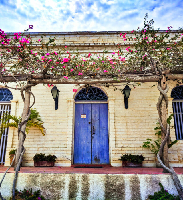 Colorful buildings in Todos Santos Baja California Sur 1