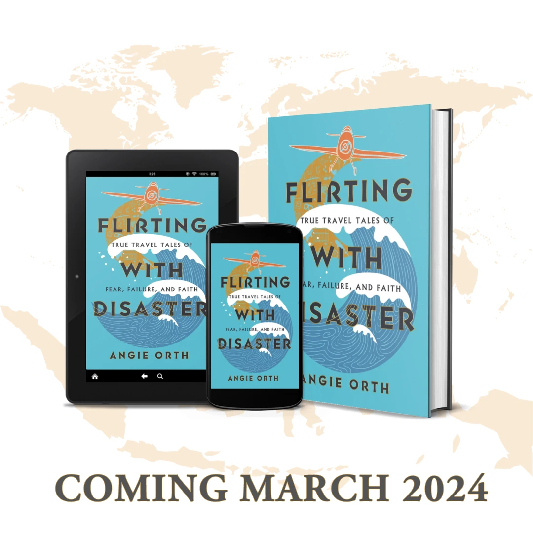 Flirting with Disaster Book Promo