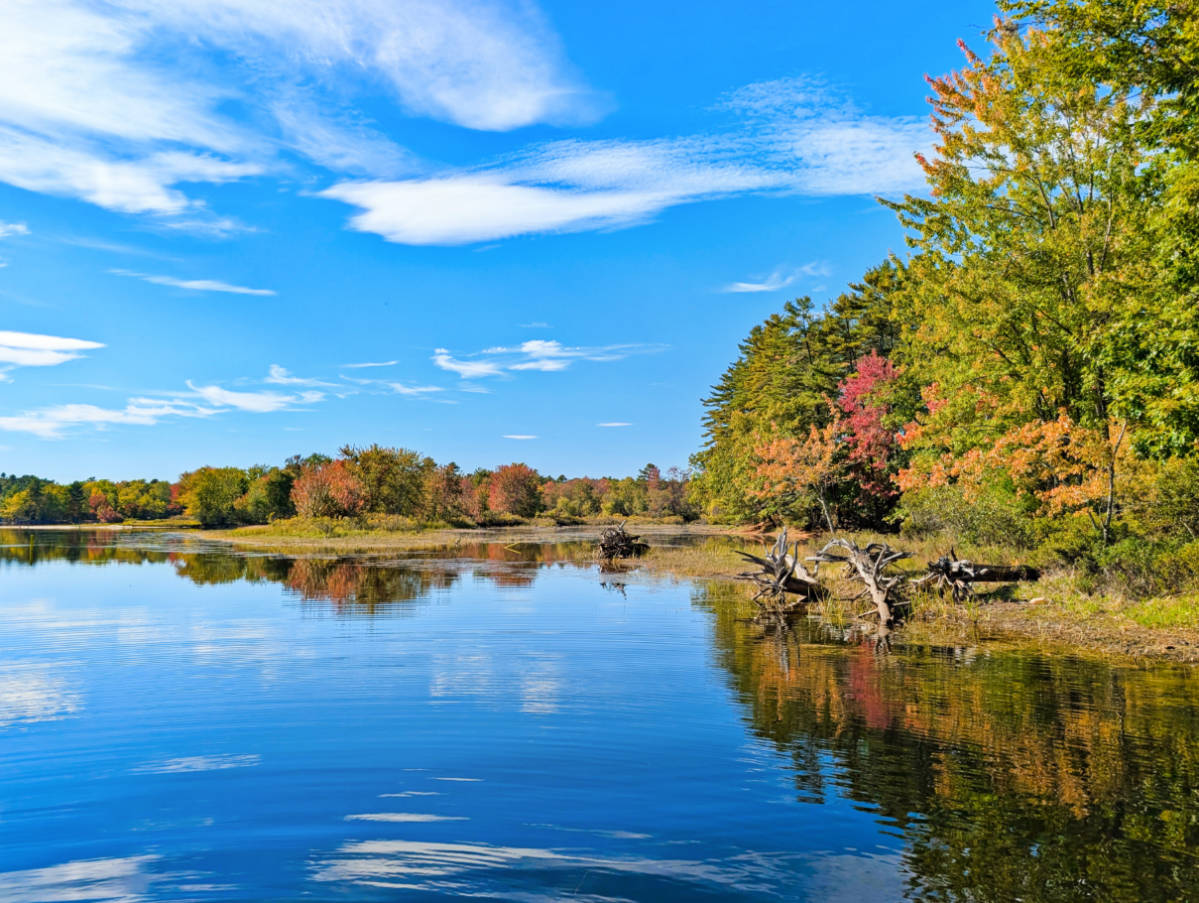 Cove at Sebago Lake State Park Maine