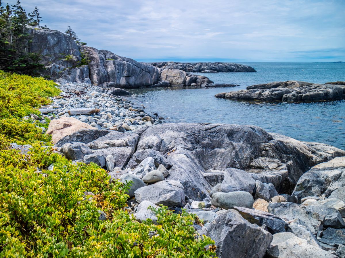 Cove on Isle Au Haut at Acadia National Park Maine