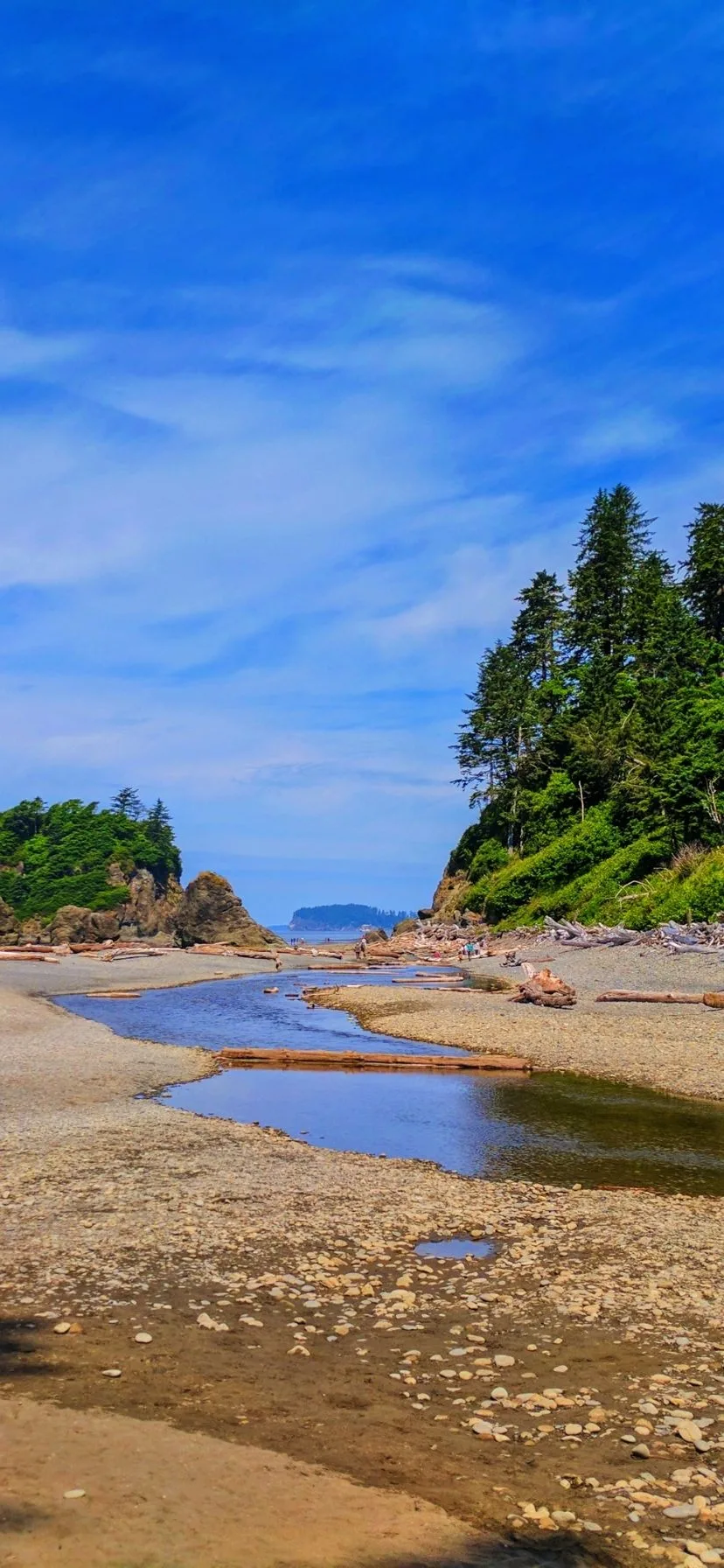 Creek at Ruby Beach Olympic National Park Web Story