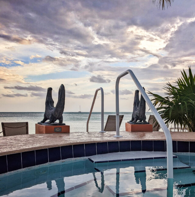 Crocodile Sculptures at Hot Tub at Coconut Beach Resort Key West Florida Keys 3