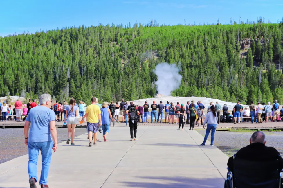 Crowds Gathering at Old Faithful Geyser Yellowstone National Park Wyoming 1