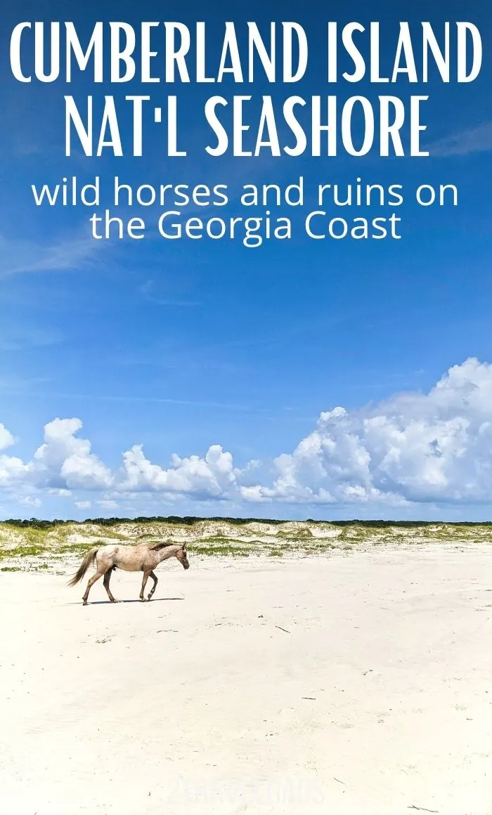 Do you know about Cumberland Island National Seashore and the wild horses? This is a guide to visiting an incredible National Park site on the Georgia coast between Savannah and Jacksonville. Everything you need to know to plan and have an amazing visit to Cumberland Island.