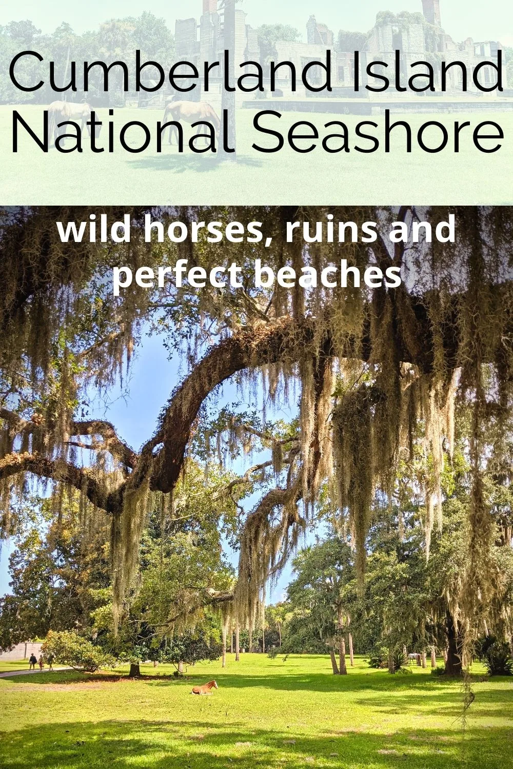 Do you know about Cumberland Island National Seashore and the wild horses? This is a guide to visiting an incredible National Park site on the Georgia coast between Savannah and Jacksonville. Everything you need to know to plan and have an amazing visit to Cumberland Island.