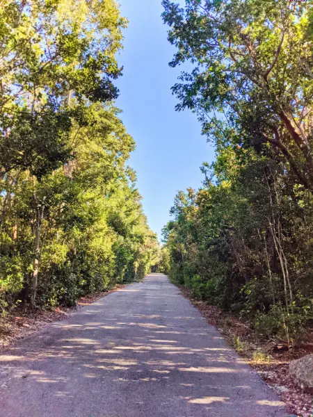 Dagny Johnson Botanical State Park walking trail Key Largo Florida Keys 2020 1