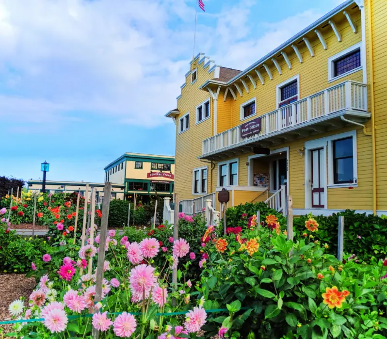 Dahlia Gardens at Port Gamble Kitsap Peninsula 1