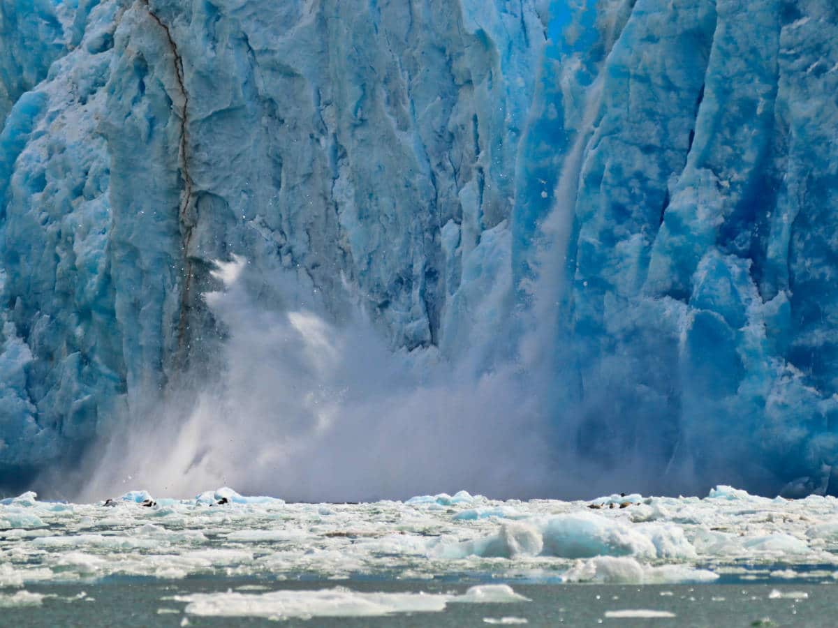 Dawes Glacier in Endicott Arm Tongass National Forest with the Boat Company Southeast Alaska