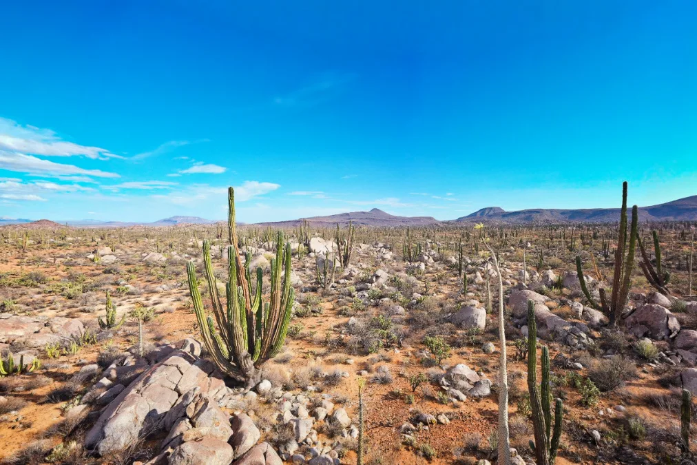 Desert Mountains of El Crucero Baja California 1