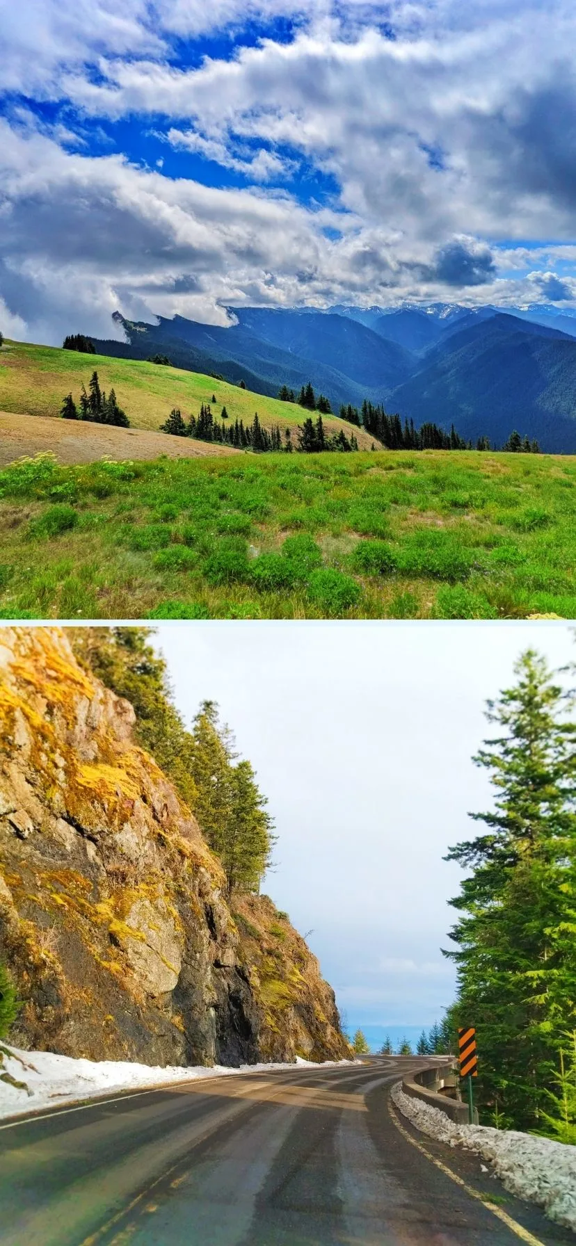 Different Seasons at Hurricane Ridge Olympic National Park