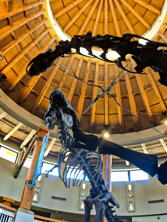 Discovery Center at Camp Jurassic in Jurassic Park at Islands of Adventure Universal Orlando Resort