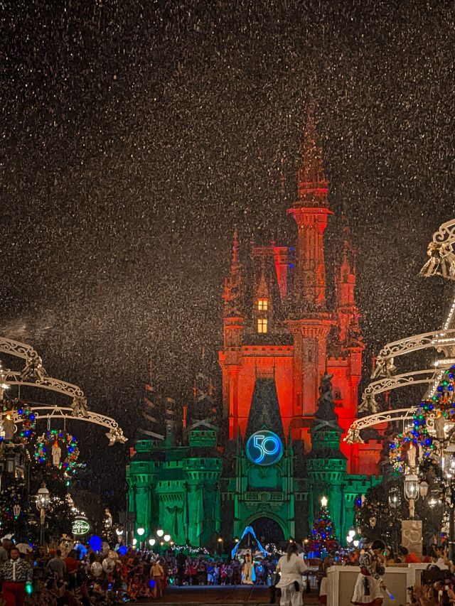 Why Disney World at Christmas is Extra Magical