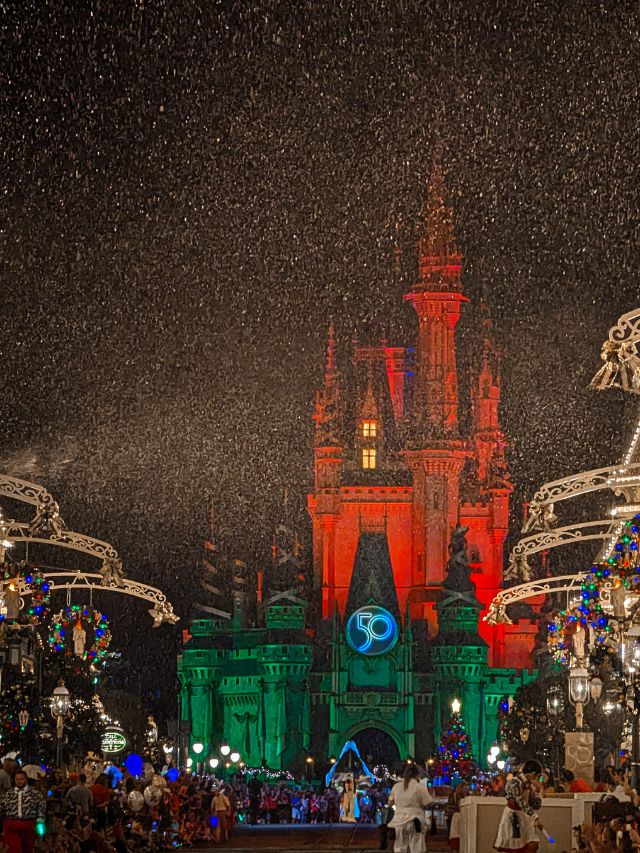 Disney World at Christmas Web Story Cover (1)