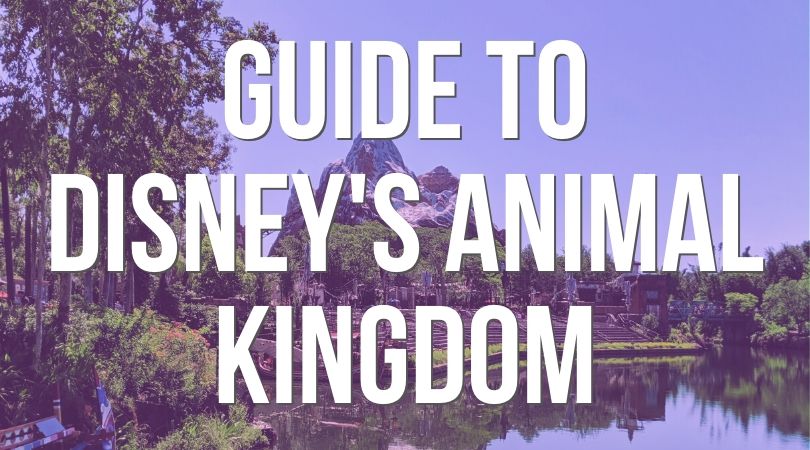 Disneys Animal Kingdom Landing