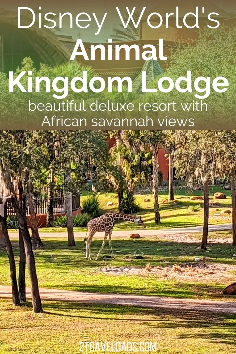 Staying at Disney's Animal Kingdom Lodge is a unique experience at Walt Disney World and one to add to your bucket list. Review of the Lodge, tips for booking, and everything you need to know about staying near Animal Kingdom.