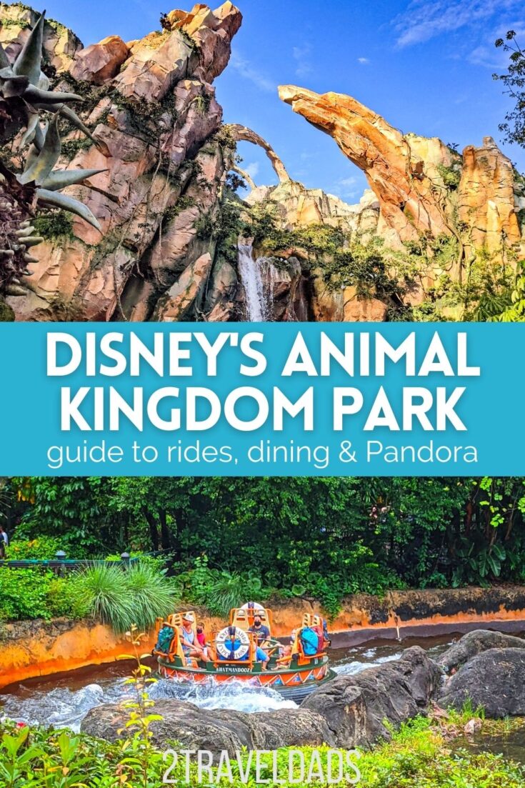 Disney's Animal Kingdom itinerary: one day of awesome Disney World ...