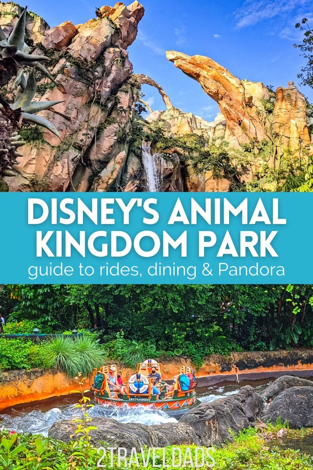 This Disney's Animal Kingdom itinerary one day plan is full of tips for dining, best safari times, guide to Pandora and which shows are best to save time and cool off. Have the best visit to Animal Kingdom with minimal stress.