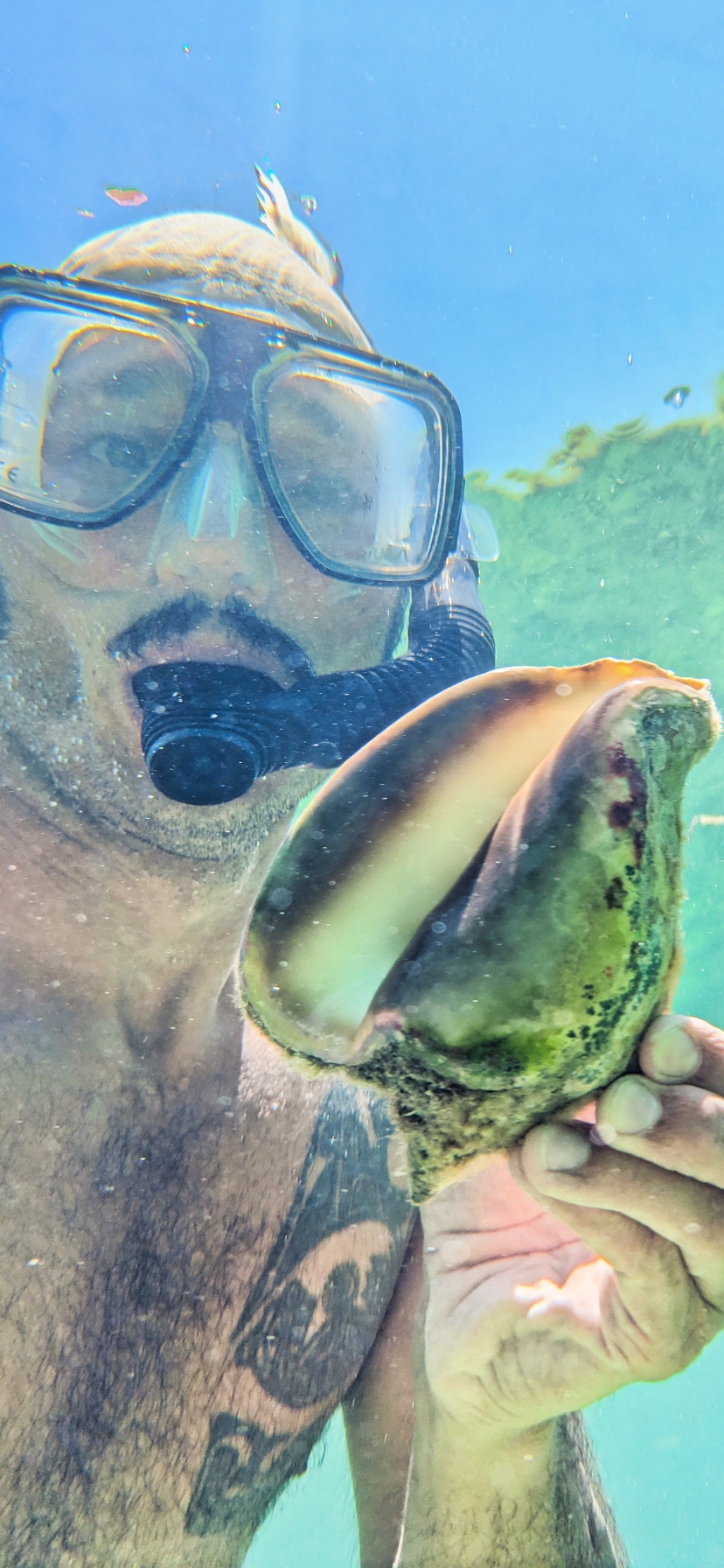 Diving with Conch in Florida Keys