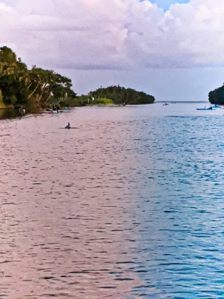 Where to See Bioluminescence in Florida: Cocoa Beach, Key West, and More -  Thrillist