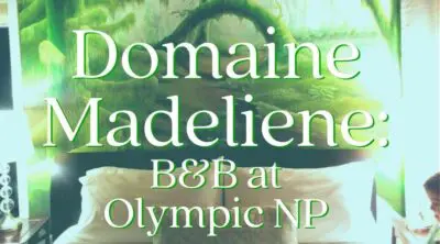 Domaine Madeliene, a Port Angeles B&B, is a quiet Olympic Peninsula bed and breakfast. Large rooms, beautiful views and calm setting make a perfect getaway.