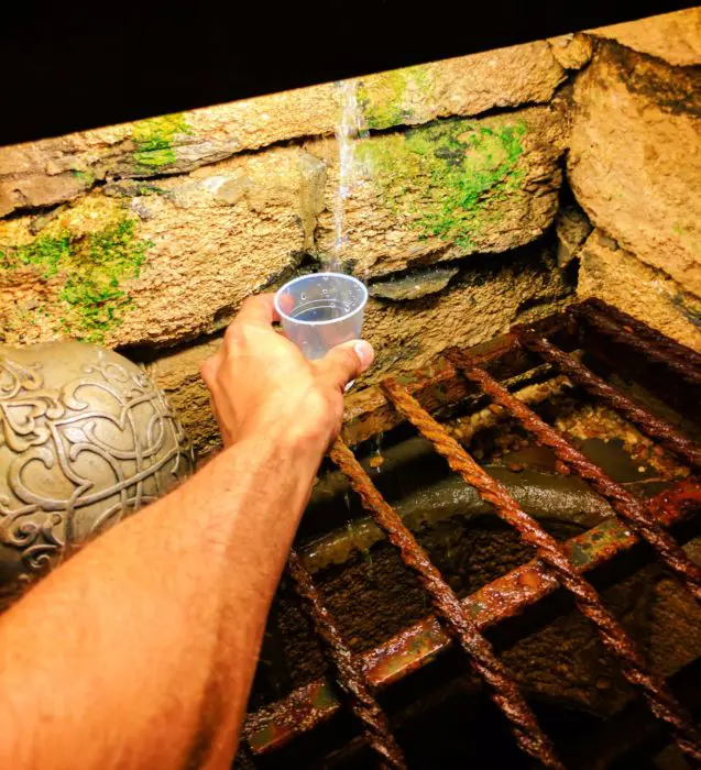 Drinking from the Fountain of Youth St Augustine 1