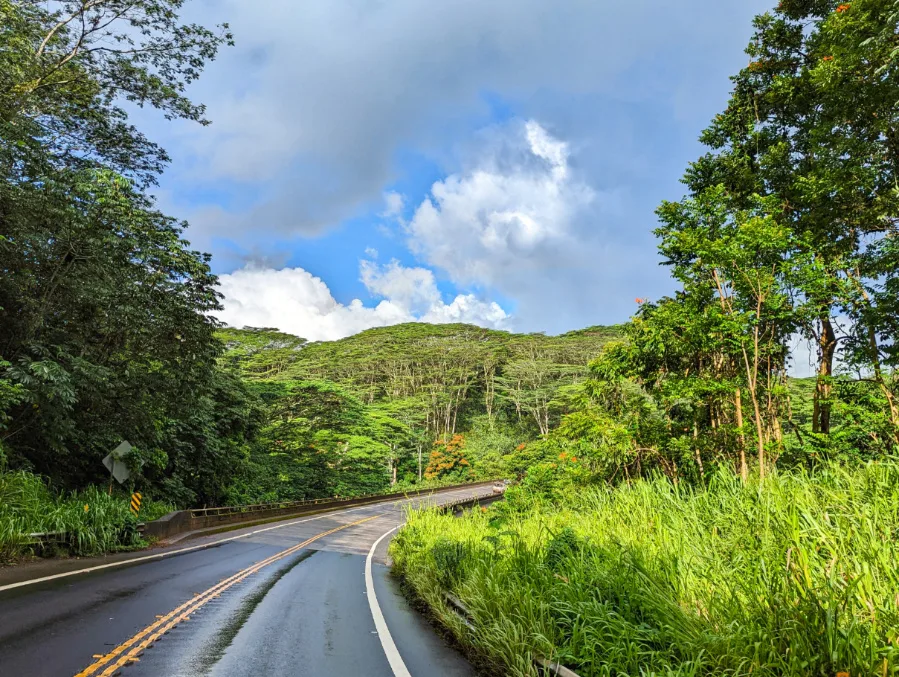 Driving the Kuhio Highway out of Kapaa Kauai Hawaii 3