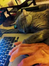 Duke holding my hand blogging on laptop 1