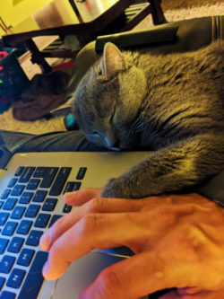 Duke holding my hand blogging on laptop 1