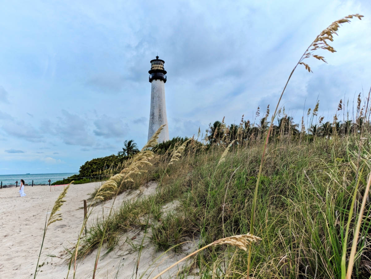 Dunes at Cape Florida Lighthouse Bill Braggs State Park Miami Florida 1