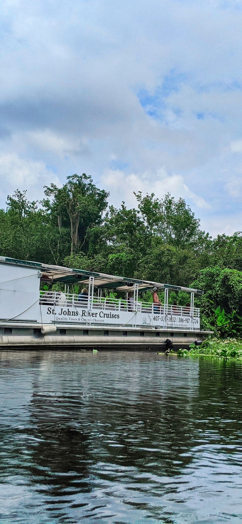 Ecocruise at Blue Spring State Park Florida
