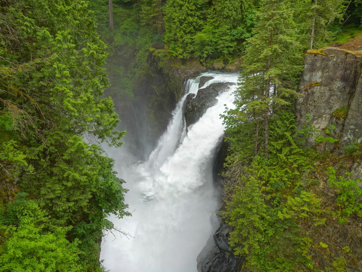Elk Falls Provincial Park Vancouver Island British Columbia