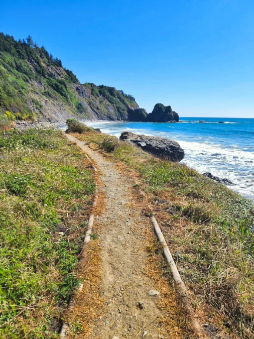 Enderts Beach Trail in Redwoods National Park California 1