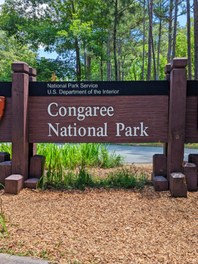 Entrance Sign at Congaree National Park South Carolina 2