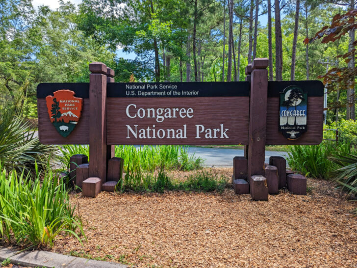 Entrance Sign at Congaree National Park South Carolina 2