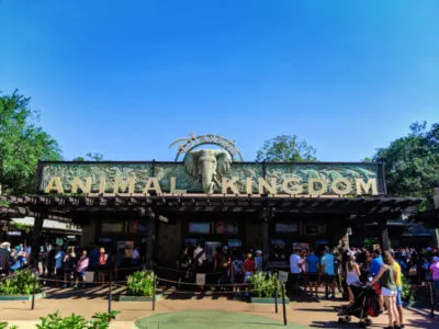 Entrance to Disneys Animal Kingdom Disney World Orlando Florida 1