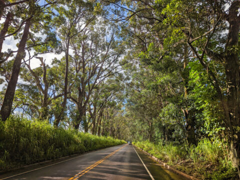 5 Day Kauai Itinerary: the Perfect Plan for What to Do on the Garden ...