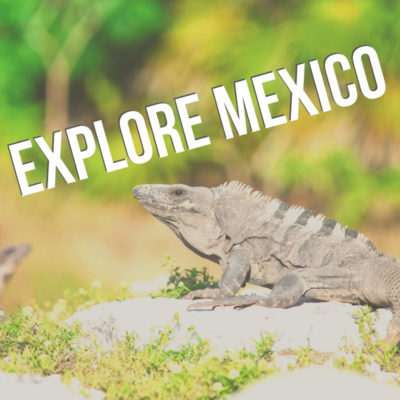 Explore Mexico button