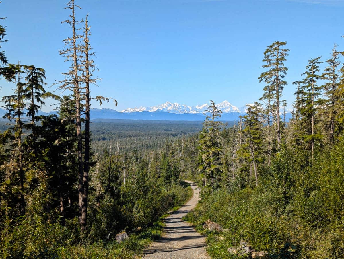 Fairweather Mountain Range from Hydro Falls Trail Gustavus Alaska 2