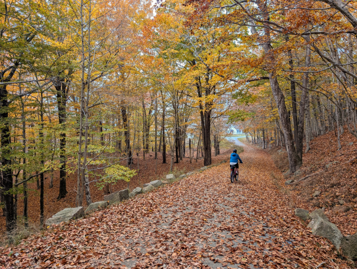 Fall Colors Biking on the Carriage Roads in Acadia National Park Maine