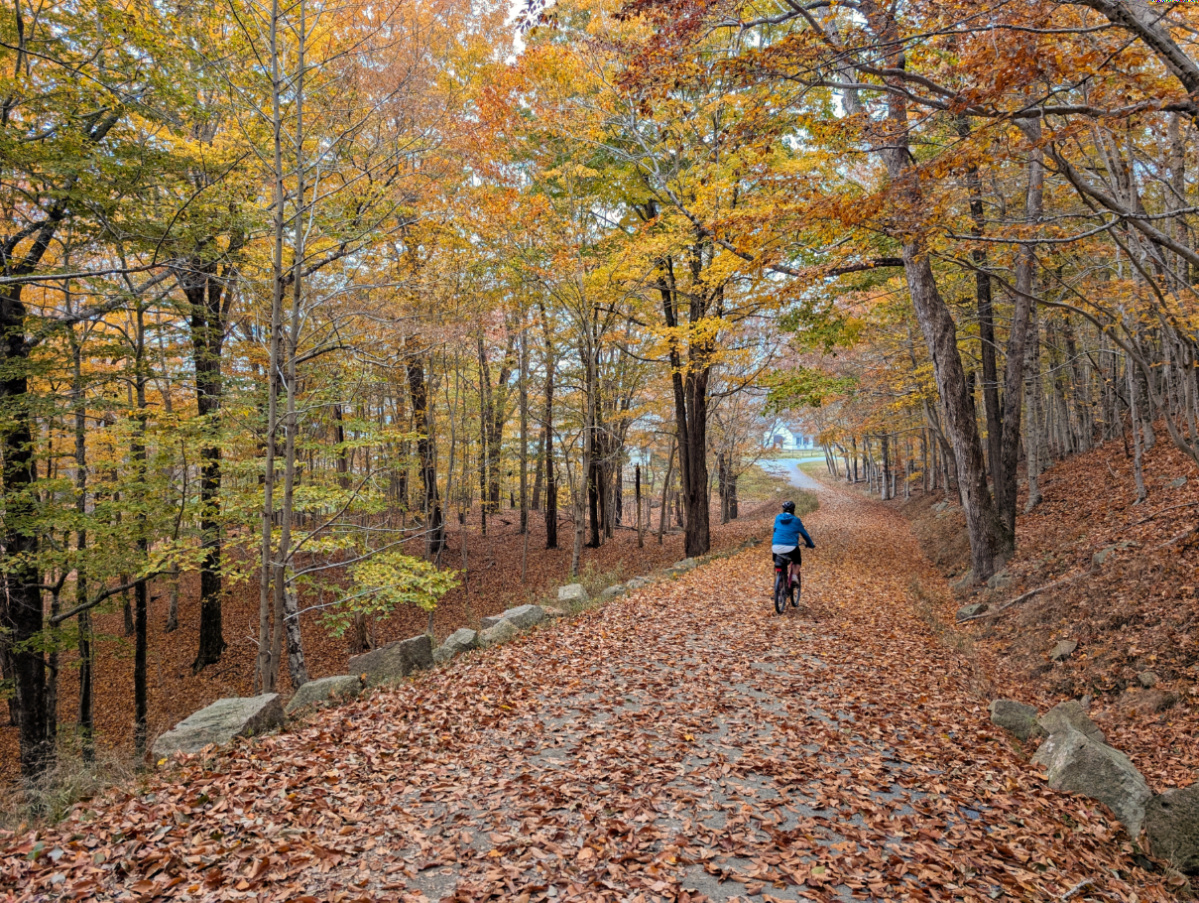 Fall Colors Biking on the Carriage Roads in Acadia National Park Maine 1