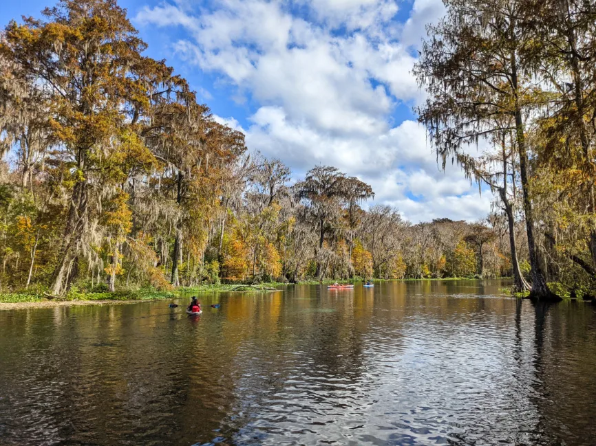 Fall Colors Kayaking on Silver River in Silver Springs State Park Ocala Florida 8