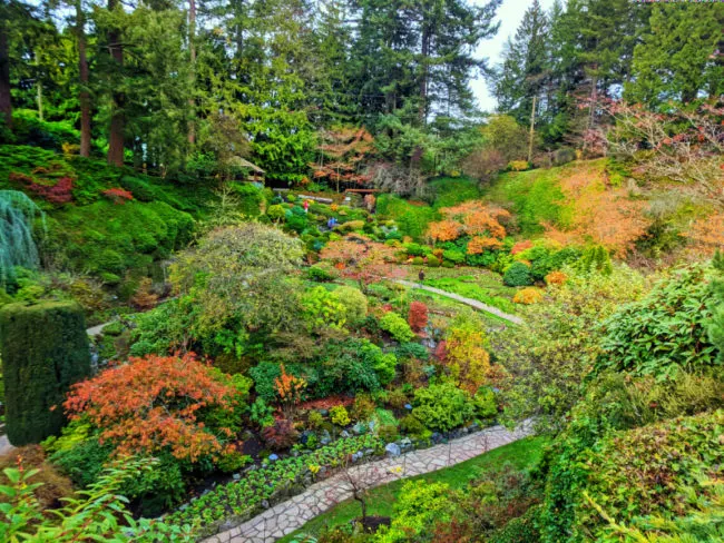 Fall Colors in Sunken Garden at Butchart Gardens Victoria BC 2